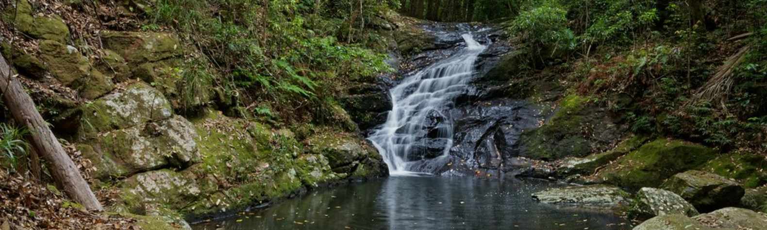 Kondalilla National Park