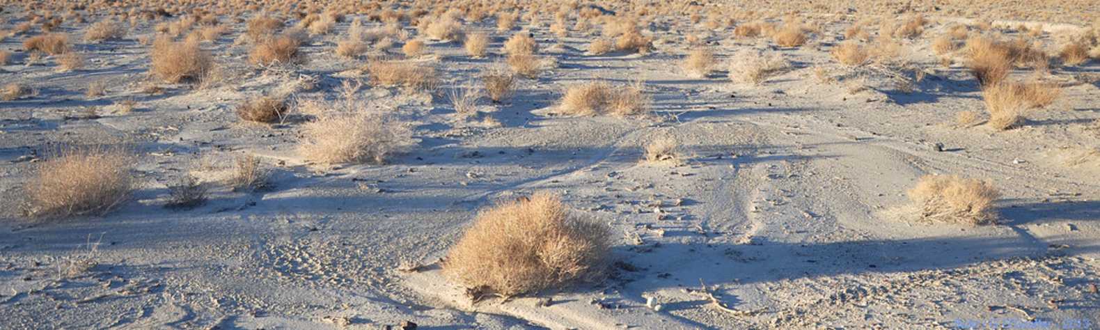 Owens Lake