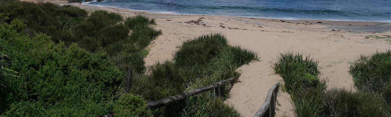 Racecourse Beach