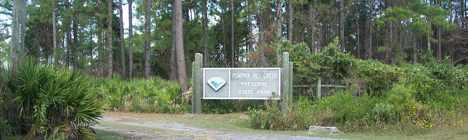 Pumpkin Hill Creek Preserve State Park
