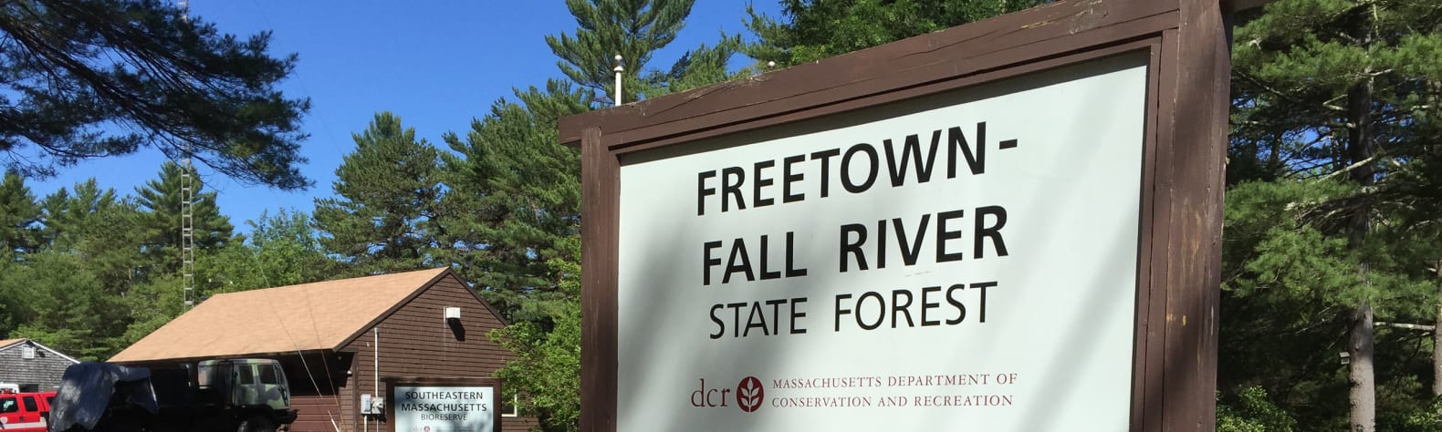 Freetown-Fall River State Forest