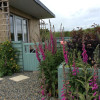 Hedgerow Hut and Hot Tub