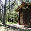Big Creek Camp Wilderness Cabin