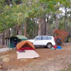 Shady Views Campground 4