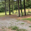 Pine forest no hookup campsite