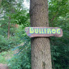 Site 7 Bullfrog