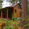 The "Elk House" Cabin