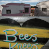 Bees Knees @ CasaGoGo
