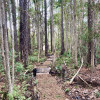 Bay Forest Primitive Retreat