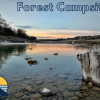 Forest Camping on Medina River