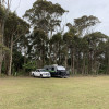 Figtree Camp @ Mystery Bay 