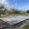 Apple Trees and Vineyard Views