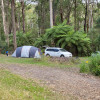 Forest Edge Campsite