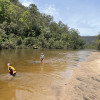 Rivers Run Colo River Camping