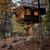 The Magical Treehouse