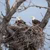 Eagles Nest Campground