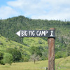 Big Fig Camp