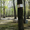 Site 11 - Black River Camping Ventures