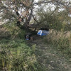 Site 10 Tent or Car camper