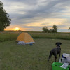 Site 11 Tent or Car camper