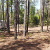 Site 1 - RV Dry Camp Sites