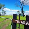 Tinara - 200 Acre Cattle Farm
