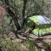 Natures Nest Rest/Solitude 1 camper