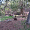 Site 1 - Doriath Springs