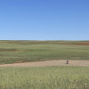 Farm Field RV Flat