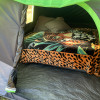 🌈Hummingbirds Tent & ⛺️Airbnb Camps