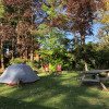 Apacha Homestead Camping 