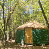 Beech Grove Yurt
