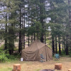 Vintage World War II Tent 