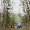 Tent Forest Campsite #1