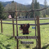 Yoga Bear Farm