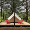 Forest Tent in the Catskills