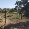 Paso Robles Wine Region Camp & RV