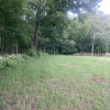 Firefly Field on Swanson's Farm