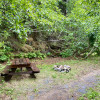 Grouse Lake Campground Campsite #3