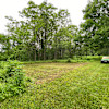Site 2 The Walnut Grove
