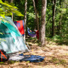 Woodland Campsite