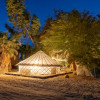 Celtic Yurt in a Shade Grove