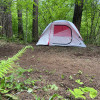 Forest Tent Site