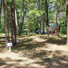 Site 6 - PV's Rustic camping in the woods