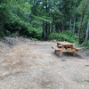 Madrone Camp Site