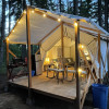 Pine-forest glamping