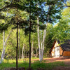 Wild Pines Cabins 