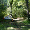 Tanglewood OFF ROAD Creekside Camps