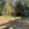 Campsite near grape orchard on farm