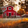 Little Red Barn at Forever Ranch
